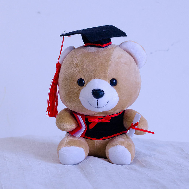 Graduation Bear 20cm