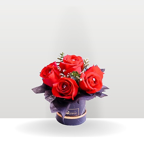 Wonderful woman mini