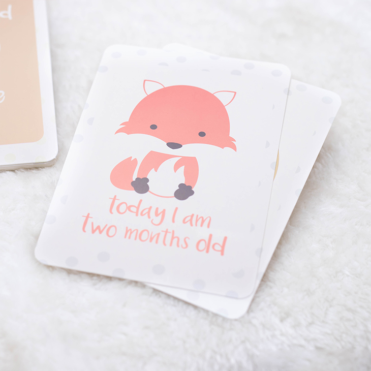 Welcome little princess - image 9