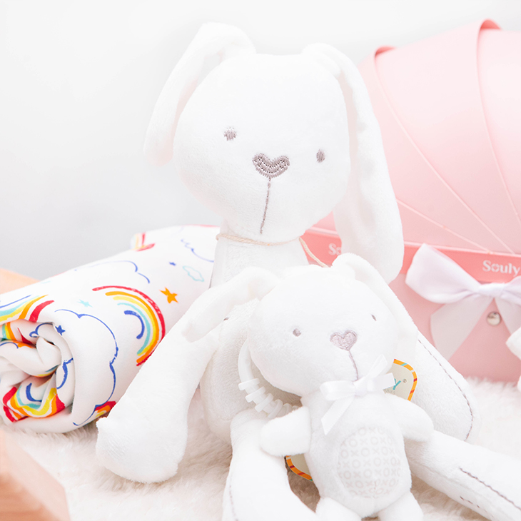 Welcome little princess - image 5