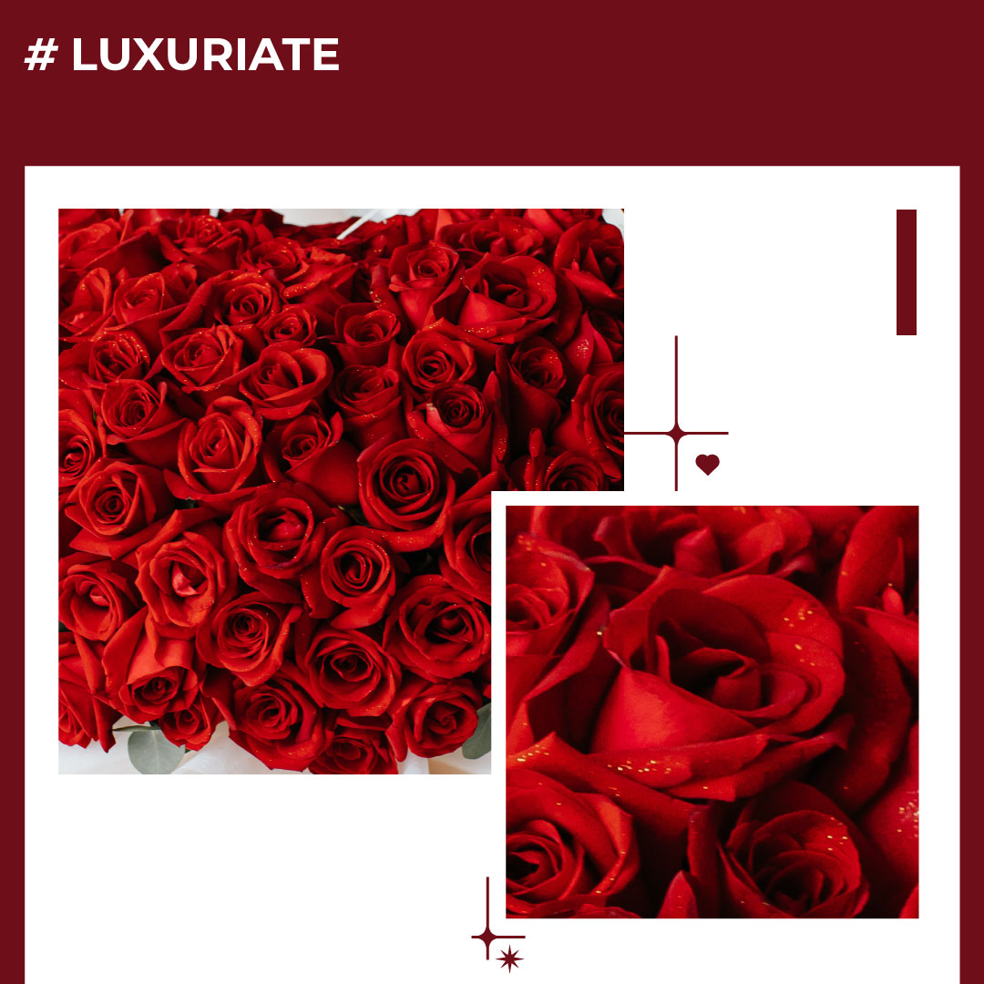 Luxuriate 3