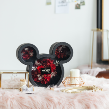 Mickey head shaped flower box 2