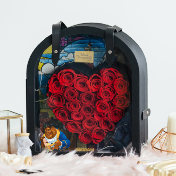 Beauty and the beast transparent 5