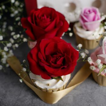 Cupcakes, birthday, love, surprise, sweet, belgian moist chocolate, chocolate, red velvet, vanilla, free delivery, kl, kuala lumpur, birthday, surprise