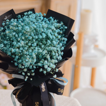 Baby Tiffany, Tiffany, Baby Breath