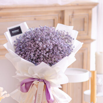 Baby Lavender, Lavender, Purple, Baby Breath