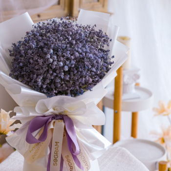 Baby Lavender, Lavender, Purple, Baby Breath