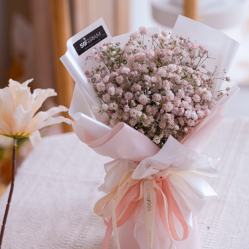 Baby Pink, Pink, Baby Breath