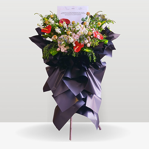 Black twilight new 1