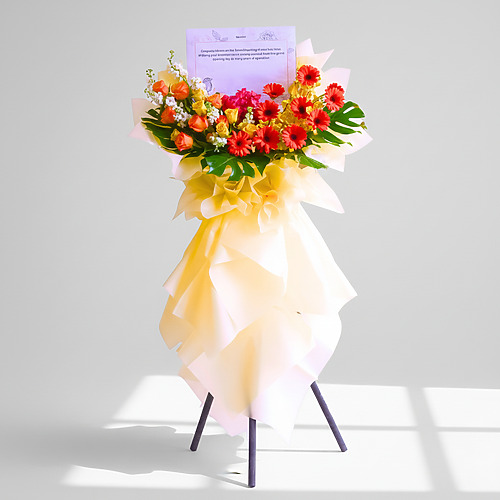 Embellish premium fp 1