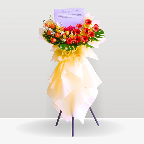 Embellish premium new 1