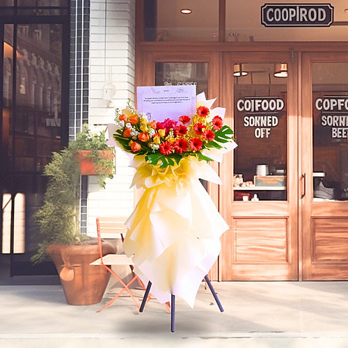 Embellish premium new 2