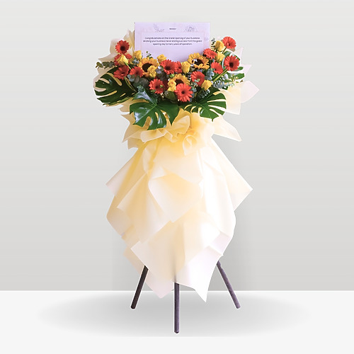 Golden delicate premium new 1