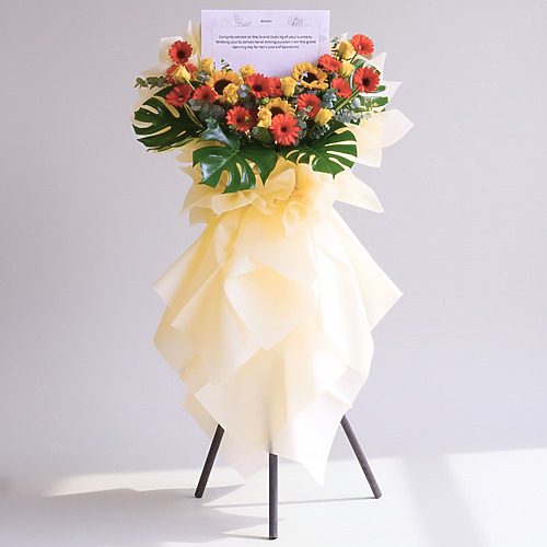 Golden delicate premium new fp 1