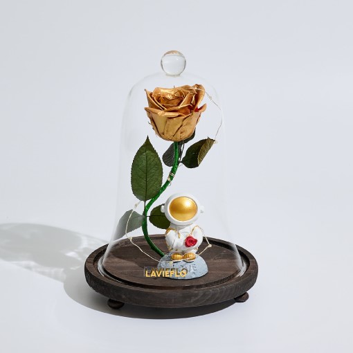 Love of Sun | Preserved Jar