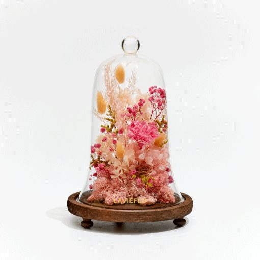 She's My Hero | Preserved Flower