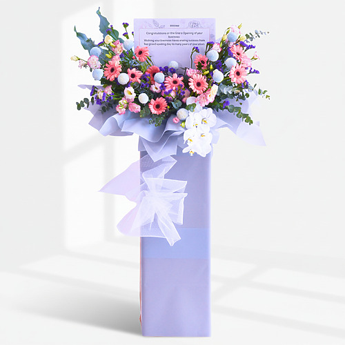 Dreamscapes premium size fp 1