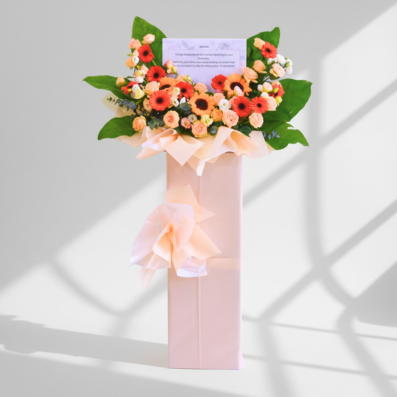 Medley Bliss | Business Opening Stand