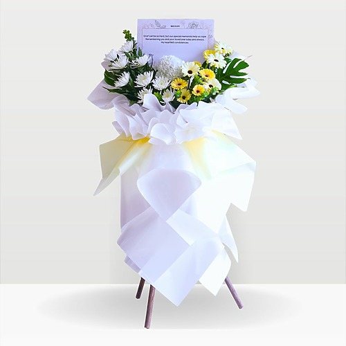 Pure elegance premium new 1