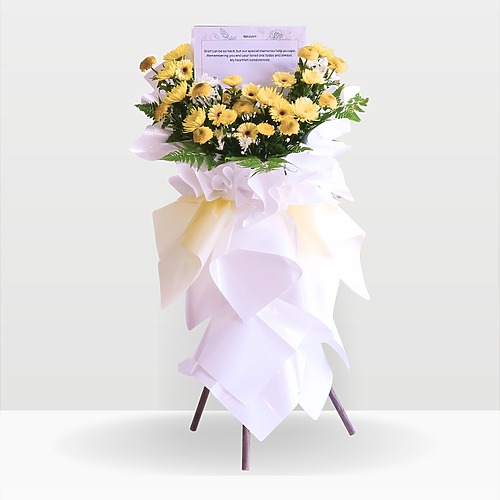 Sunny serenade premium new 1