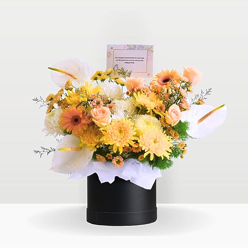 Sunset remembrance premium 1