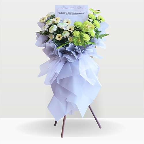 Whispering grace premium new 1