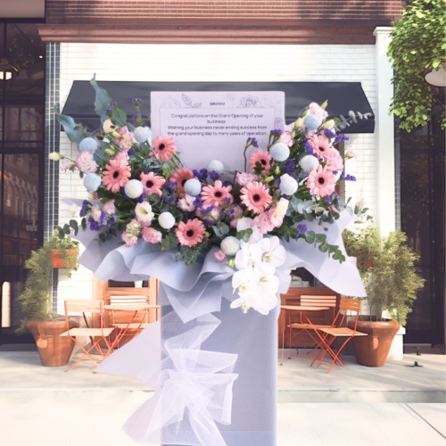 Dreamscapes | business opening stand - premium size - free delivery kl pj