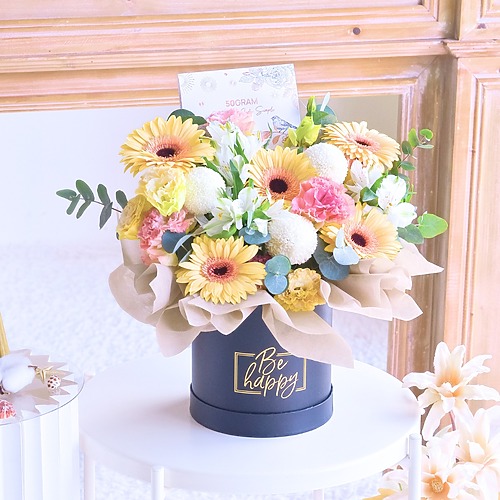 Vibrance pop premium size new 3