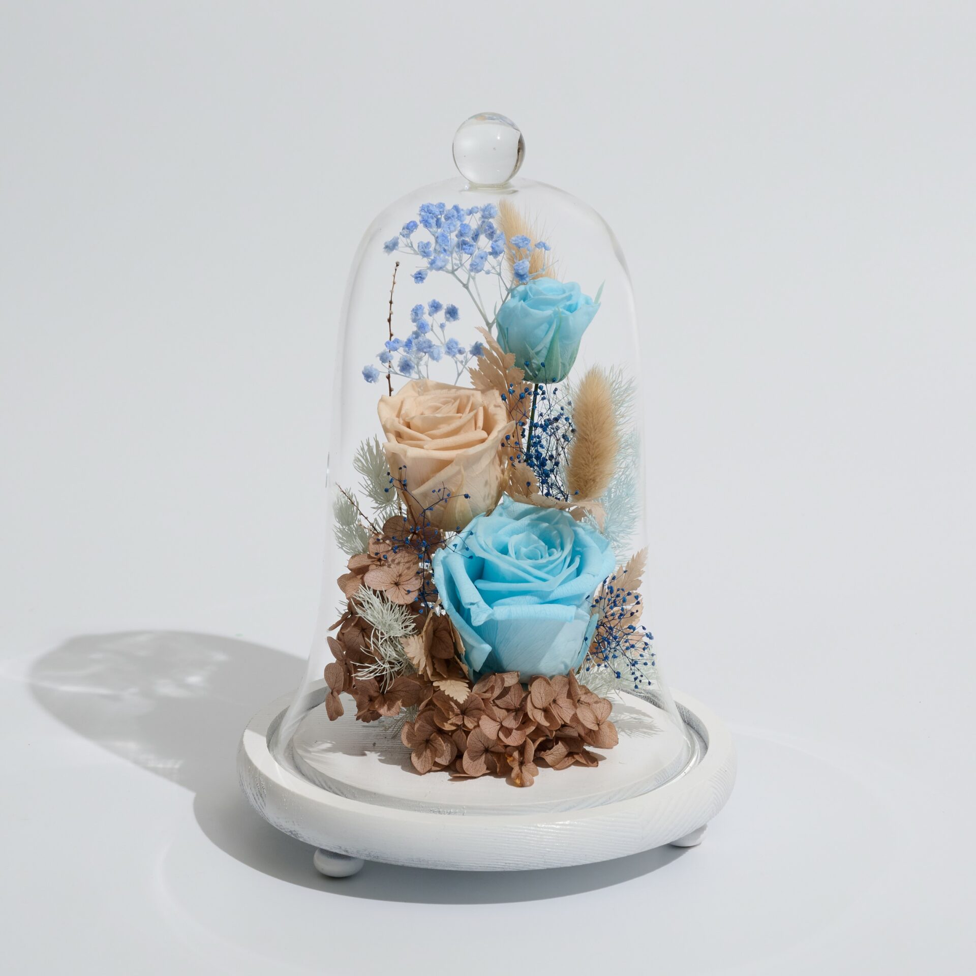 Daring dynamo | preserved jar