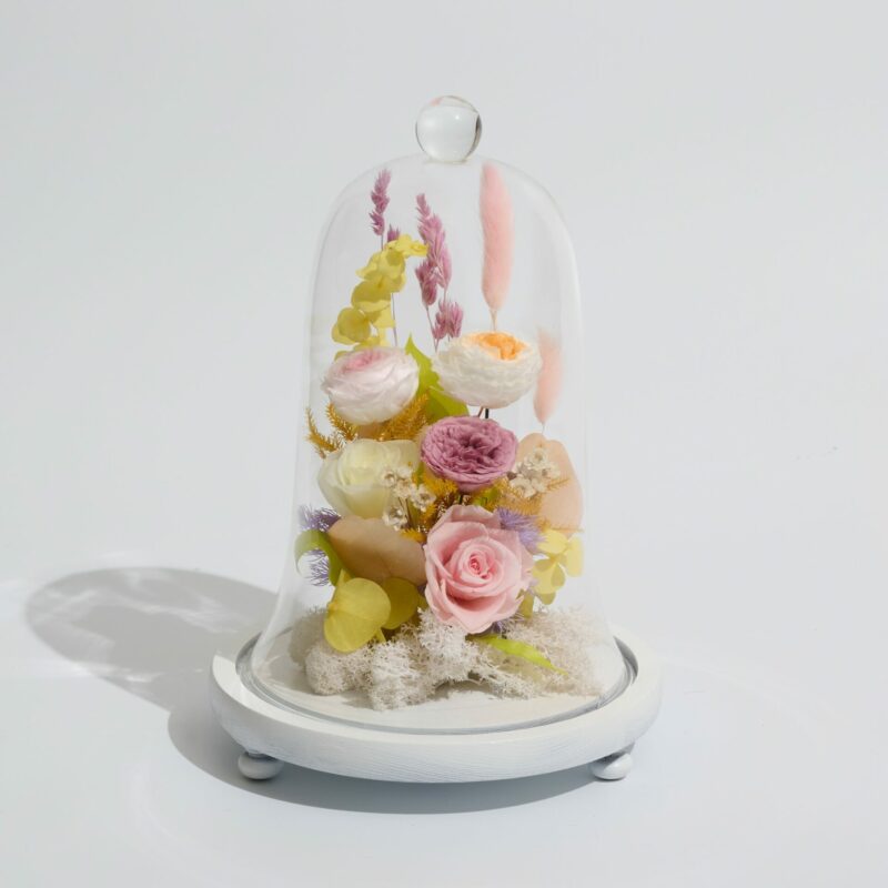 Vivid Valor | Preserved Jar