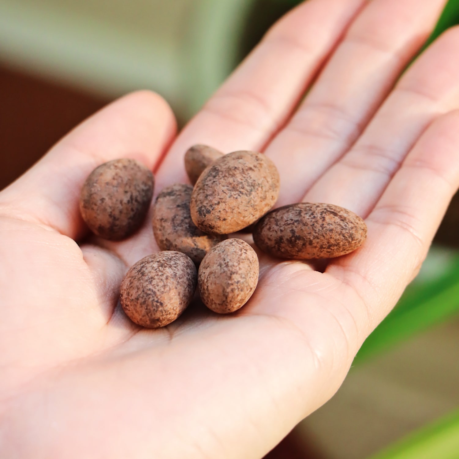 (Box) Wacky Almo 68% Dark Chocolate Coated Almonds - 100g 3