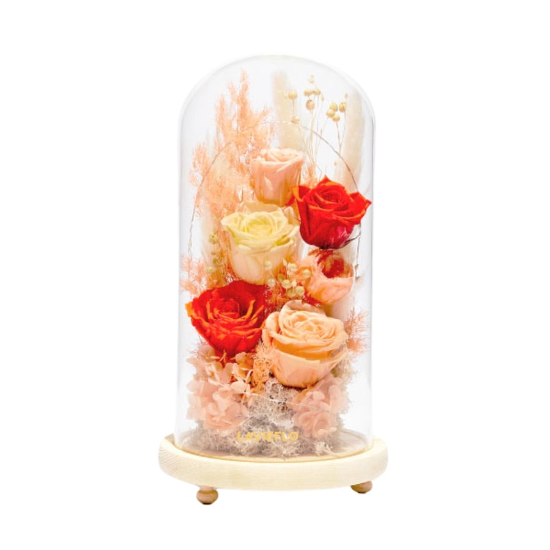 Blazing Love | Preserved Flower