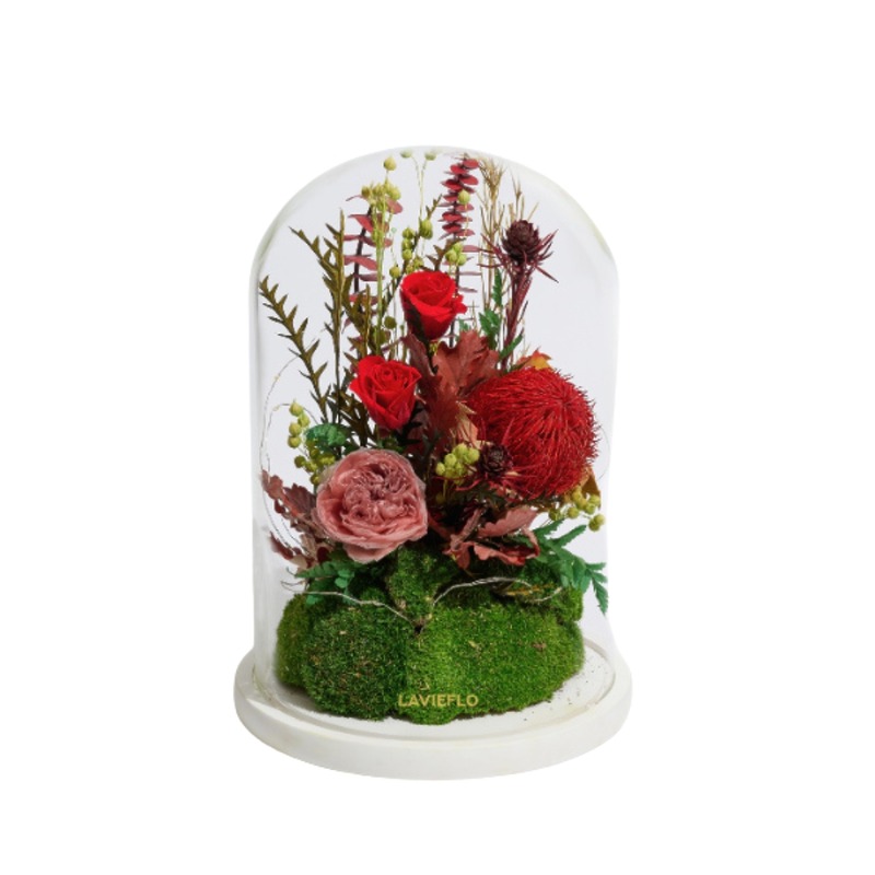 Bold Blitz | Preserved Flower