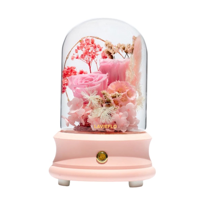 Dream Romance (Bluetooth Speaker) | Preserved Flower