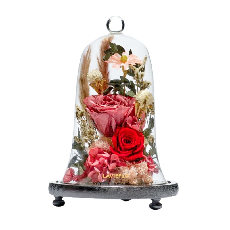 Dusk till Dawn | Preserved Flower