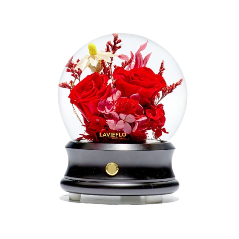 Same Old Love (Bluetooth Speaker) | Preserved Flower