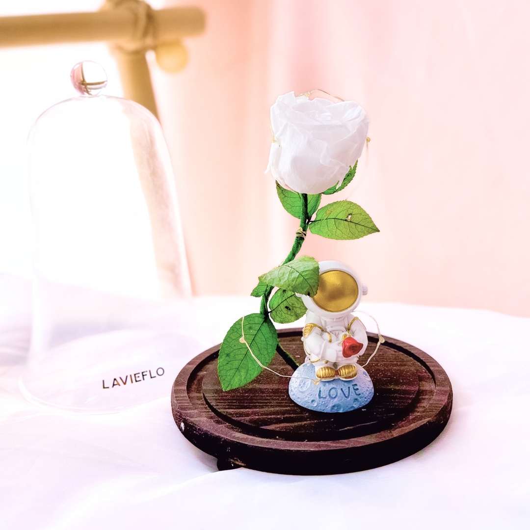 Love of mercury | preserved jar - image 3