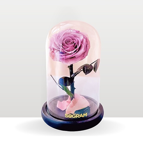 The beast purple 238 1