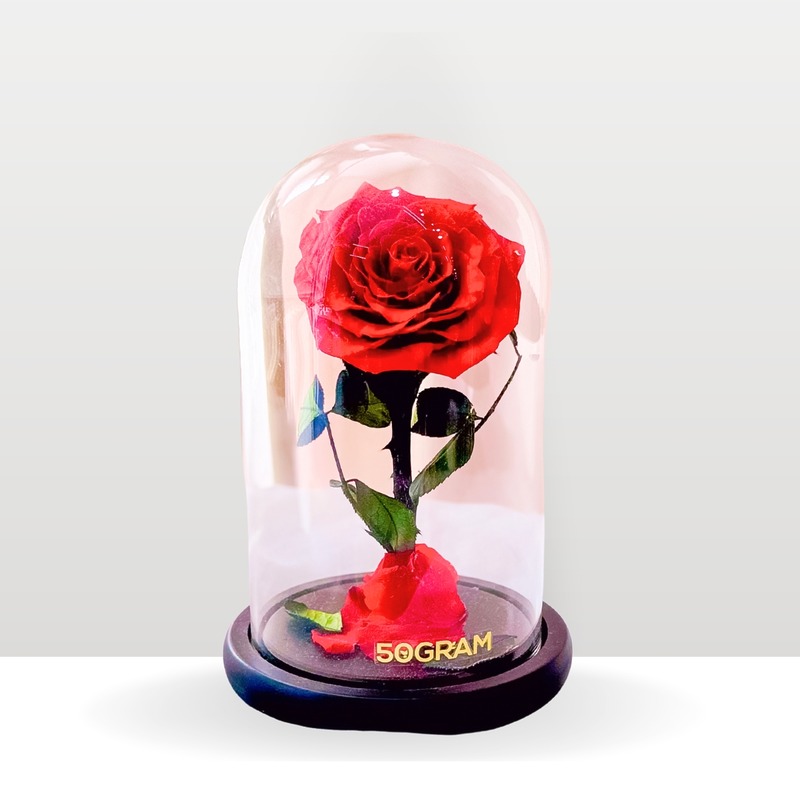 The Beast - Red  | Preserved Jar